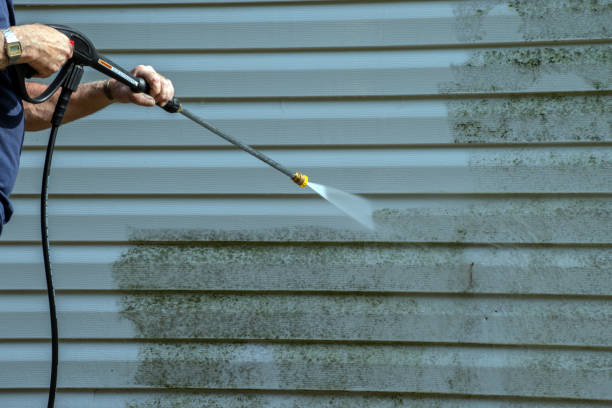 Best Vinyl Siding Pressure Washing in Ellerslie, GA
